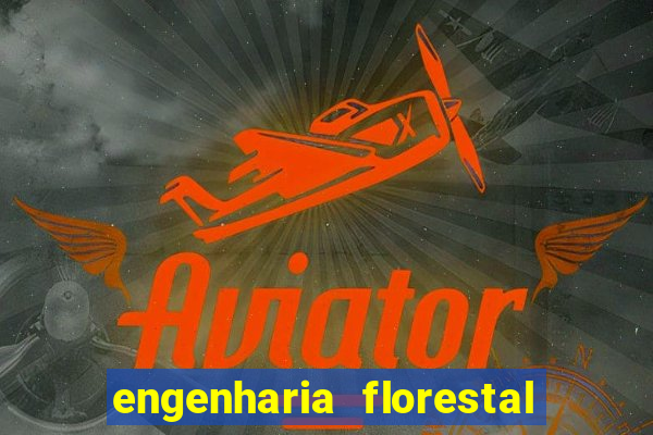 engenharia florestal ead cruzeiro do sul